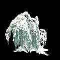 3d illustration of Cedrus atlantica Glauca Pendula snow covered tree isolated on black background