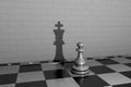 3D illustration chess piece pawn with the shadow of a queen