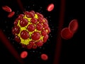 3d Illustration cocci virus cell close up isolated on black background