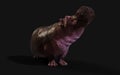 The Common hippopotamus posing isolate with Clipping path.