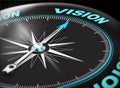 3D illustration of a compass showing the word vision - business concept