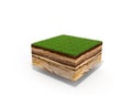 3d illustration of cross section of ground with grass isolated o Royalty Free Stock Photo