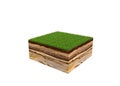 3d illustration of cross section of ground with grass isolated o