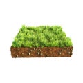 3d illustration of cross section of ground with grass isolated on white Royalty Free Stock Photo