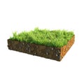 3d illustration of cross section of ground with grass isolated on white Royalty Free Stock Photo