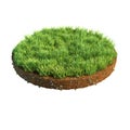 3d illustration of cross section of ground with grass isolated on white Royalty Free Stock Photo