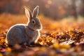 3d illustration of a cute bunny sitiing in the autumn sunshine Generative AI illustration