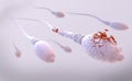 Damaged sperm cells while breaking apart