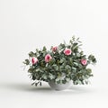 3d illustration of decorative flower vase inside isolated on white background Royalty Free Stock Photo