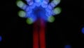 Defocused Bokeh Lights And Lens Flare, Abstract Light Background Royalty Free Stock Photo
