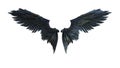 Demon Wings Royalty Free Stock Photo