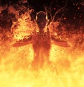 3D Illustration Demon Woman Burns In A Hellfire