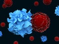 A dendritic cell interacting with a T cell Royalty Free Stock Photo