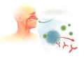 3d illustration depicting the mechanism of allergy in the respiratory system and orl.