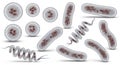 3D Illustration of Different Types of Bacteria Cells Royalty Free Stock Photo