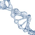 3d illustration of DNA molecule model from water.