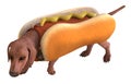 A dog in a hotdog suit 3d illustration isolated on white