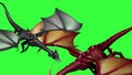 Dragons in fly on green screen