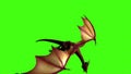 Dragons in fly on green screen