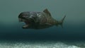 3d illustration of a dunkleosteus fish Royalty Free Stock Photo