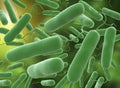 3D illustration of E coli Bacteria. vibrios type category Royalty Free Stock Photo