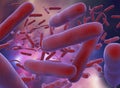 3D illustration of E coli Bacteria. vibrios type category Royalty Free Stock Photo