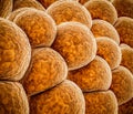 3d Illustration of Fat cells abstract background Royalty Free Stock Photo