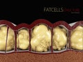 3d Illustration of Fat Cells on black background Royalty Free Stock Photo