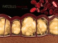 3d Illustration of Fat Cells with blood cells on black background Royalty Free Stock Photo