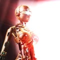 3D Illustration of a Fembot Royalty Free Stock Photo