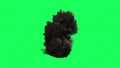 Fire Ball Explosion on green screen Royalty Free Stock Photo