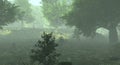 Foggy misty forest haze landscape 3d illustration