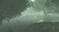 Foggy misty forest haze landscape 3d illustration