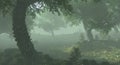 Foggy misty forest haze landscape 3d illustration