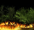 3D illustration forest fire burning, bushfire, wildfire close-up at night. a wildfire is an uncontrolled fire in an area Royalty Free Stock Photo