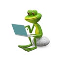 3d Illustration of a Frog with a Laptop on a Stone