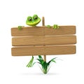 3D Illustration Frog with Wooden Plaque