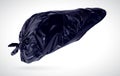 3D illustration of a garbage bag in the shape of a human liver, comparable to a liver that accumulates waste.