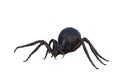 3D illustration of a giant monster spider ready to pounce isolated on white