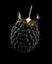 3d Illustration of Golden Raspberry isolated on black background