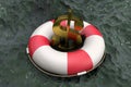 3d illustration: Golden symbol of the dollar on a Lifebuoy on the background of muddy water. Support for the United States economy Royalty Free Stock Photo