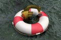 3d illustration: Golden symbol of the euro on a Lifebuoy on the background of muddy water. Support for the European Union economy.