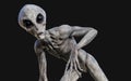 Alien on dark background with clipping path. Royalty Free Stock Photo