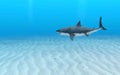 Illustration of a great white shark swimming through blue ocean water near a sandy seafloor