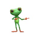3D Illustration Green Frog Indicates Direction Royalty Free Stock Photo