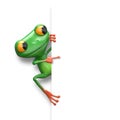 3D Illustration Green Frog with White Background Royalty Free Stock Photo