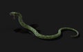 Green Giant Fantasy Snake Royalty Free Stock Photo