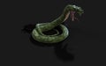 Green Giant Fantasy Snake Royalty Free Stock Photo