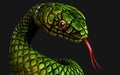 Green snake on dark black background with clipping path. Royalty Free Stock Photo