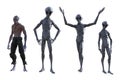 Illustration of a group of three gray aliens and another extraterrestrial specie standing in various poses isolated on a white